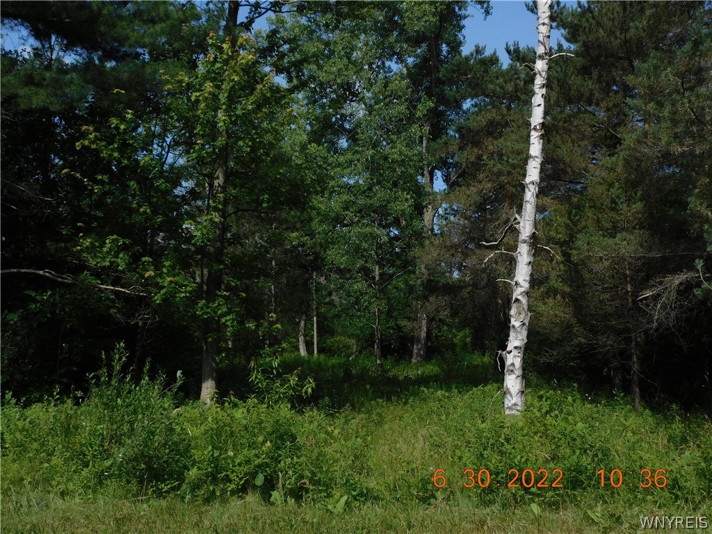 photo undefined: 7692 Decker Road, Evans NY 14047