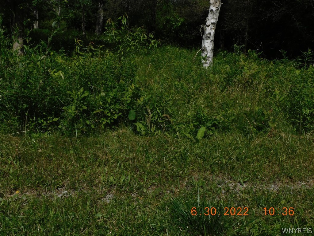 photo 2 : 7692 Decker Road, Evans NY 14047