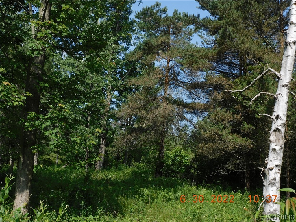 photo 3 : 7692 Decker Road, Evans NY 14047