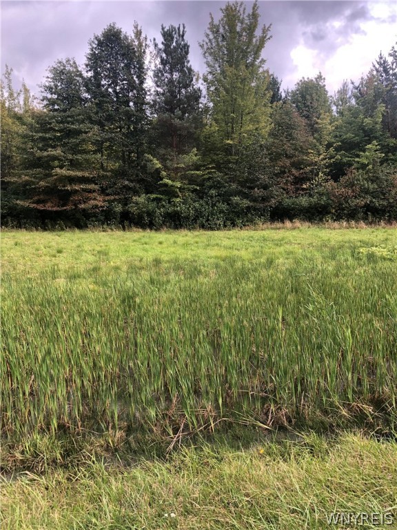 photo drHI: V/L Southwestern Boulevard, Evans NY 14006