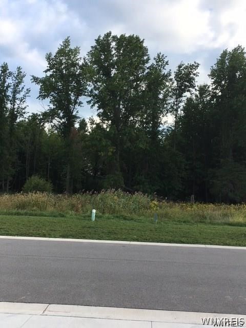 photo KxWaJUR6lP-oIGw: 525 Riverwalk Drive, Lewiston NY 14092