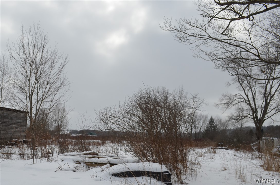 photo 0: 575 Southside Avenue East, Cherry Creek NY 14723
