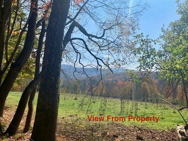 photo 0: 0 Herrick Road, Middletown NY 12438