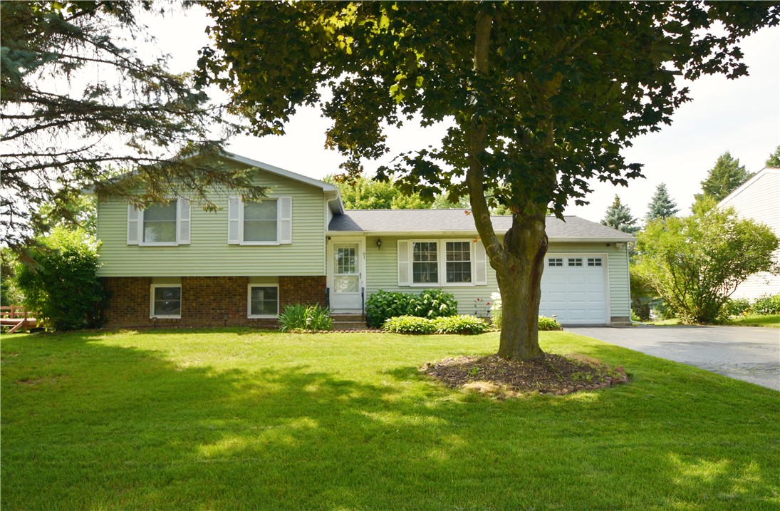 photo 0: 61 Falcon Drive, Henrietta NY 14586