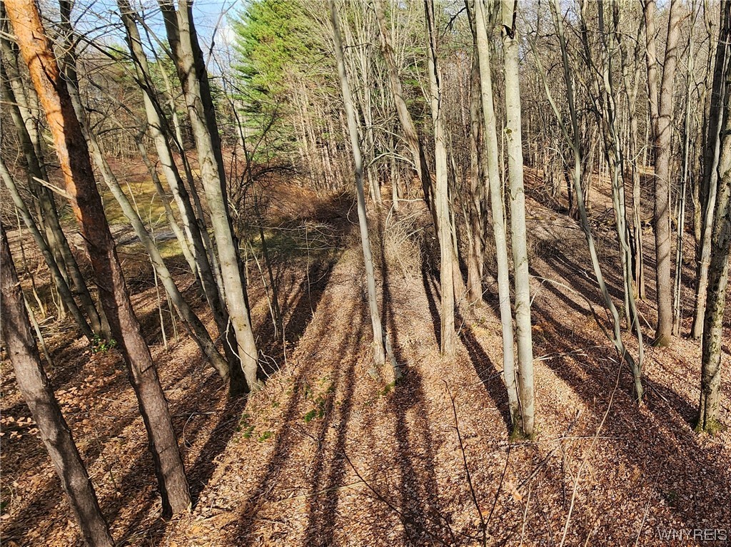 photo 0: VL Greenbush Road East, Newstead NY 14001