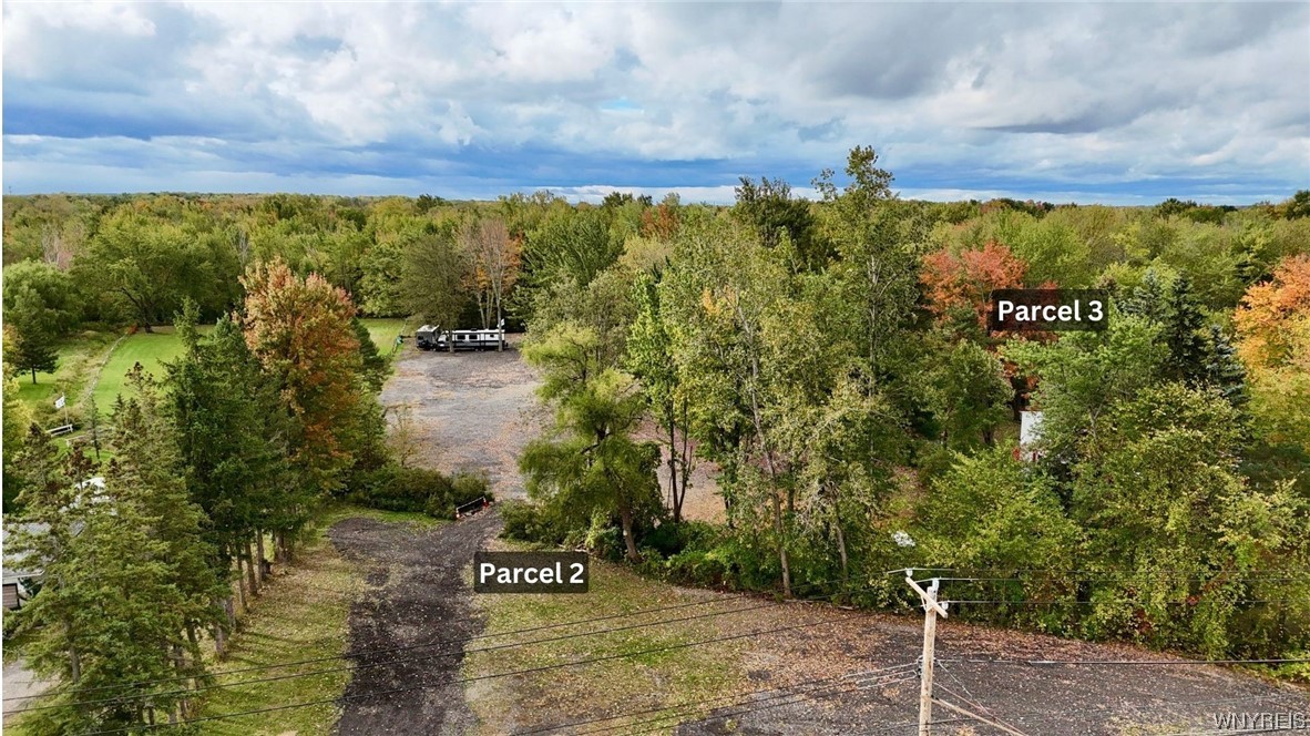 photo undefined: 5241 Big Tree Road, Orchard Park NY 14127