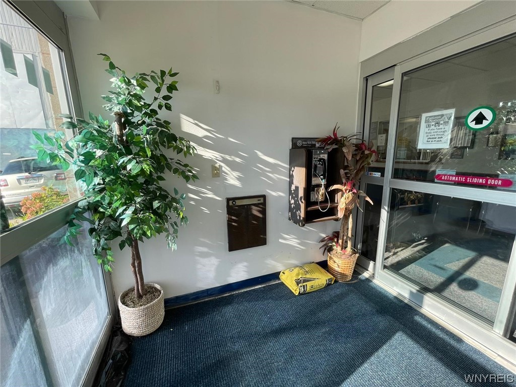 photo undefined: 135 Grant Street, Buffalo NY 14213
