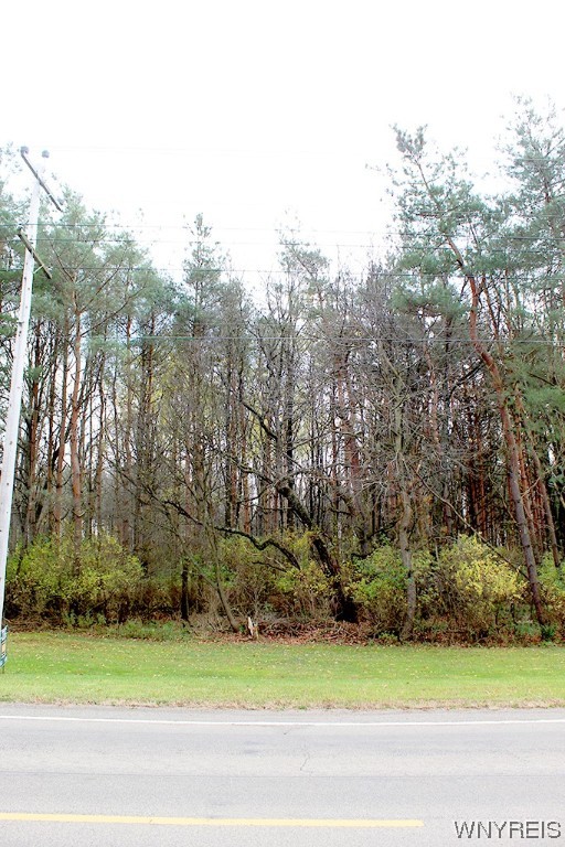 photo 0: VL North Street Lot #1, Concord NY 14141