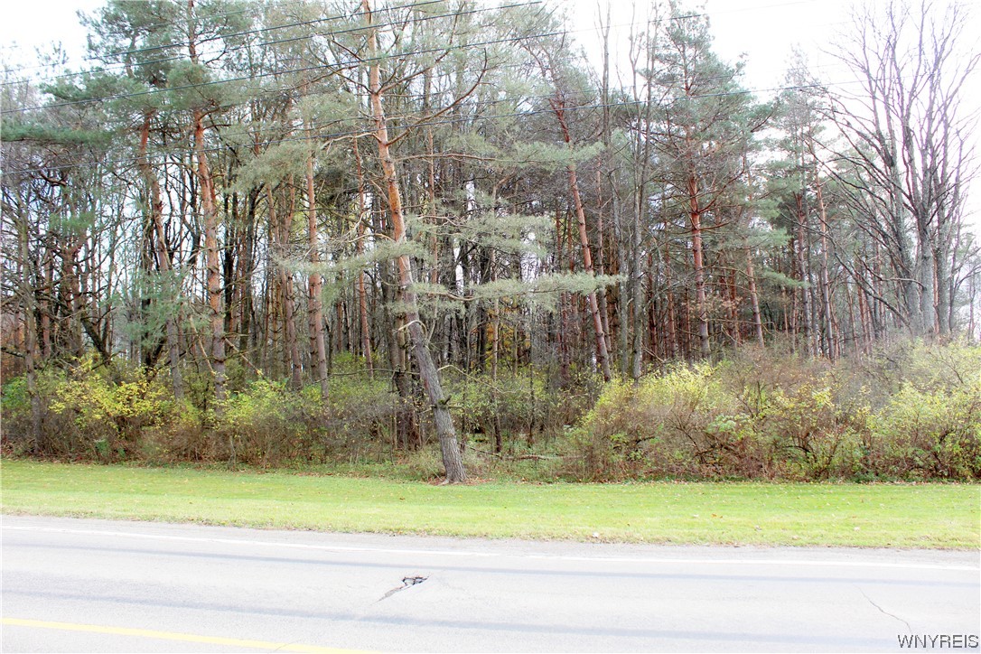 photo undefined: VL North Street Lot #2, Concord NY 14141