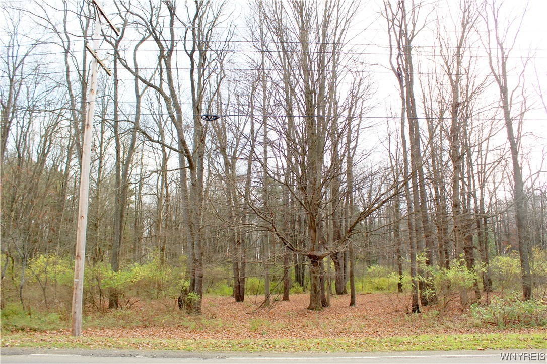 photo : VL North Street Lot #4, Concord NY 14141
