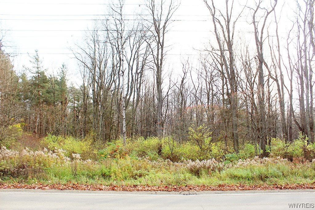 photo 3 : VL North Street Lot #4, Concord NY 14141