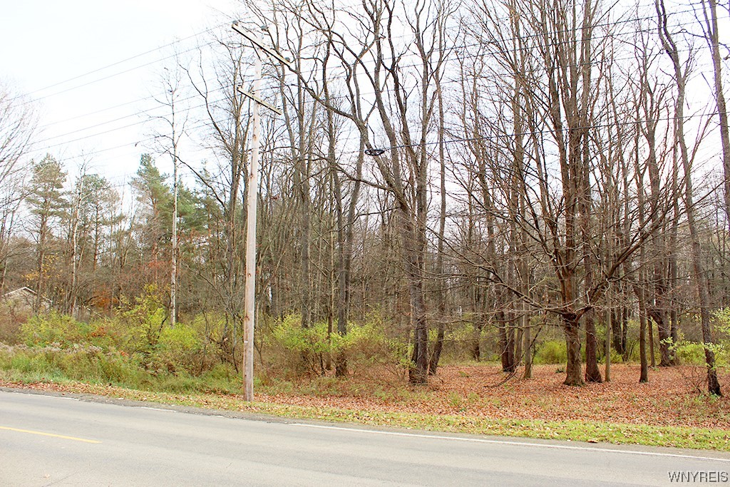photo undefined: VL North Street Lot #5, Concord NY 14141