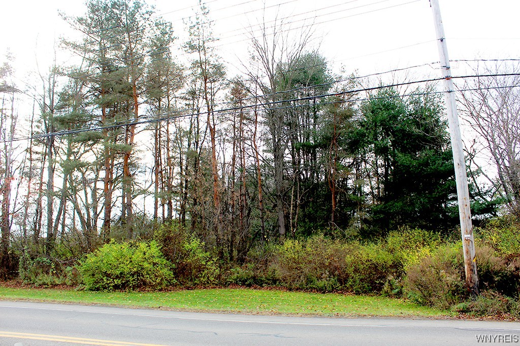 photo undefined: VL Vaughn Street Lot #6, Concord NY 14141