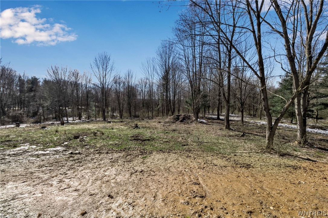 photo undefined: 2620 Main Street, Collins NY 14034