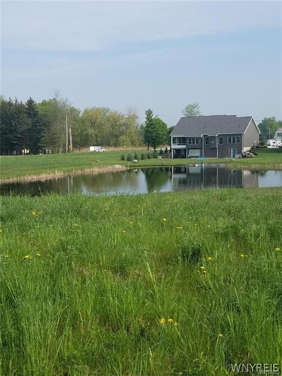 photo RAXTuilivry0ejZjnEtUcCKiX9jxk: 4 Brodies, Newstead NY 14001
