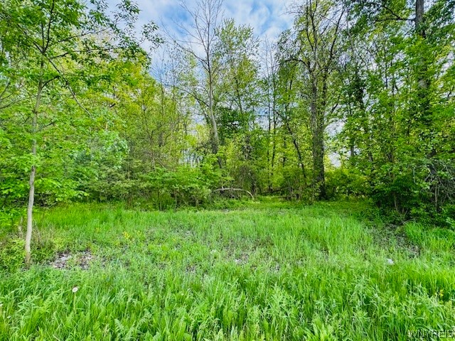 photo undefined: 3885 East Robinson Road, Amherst NY 14228