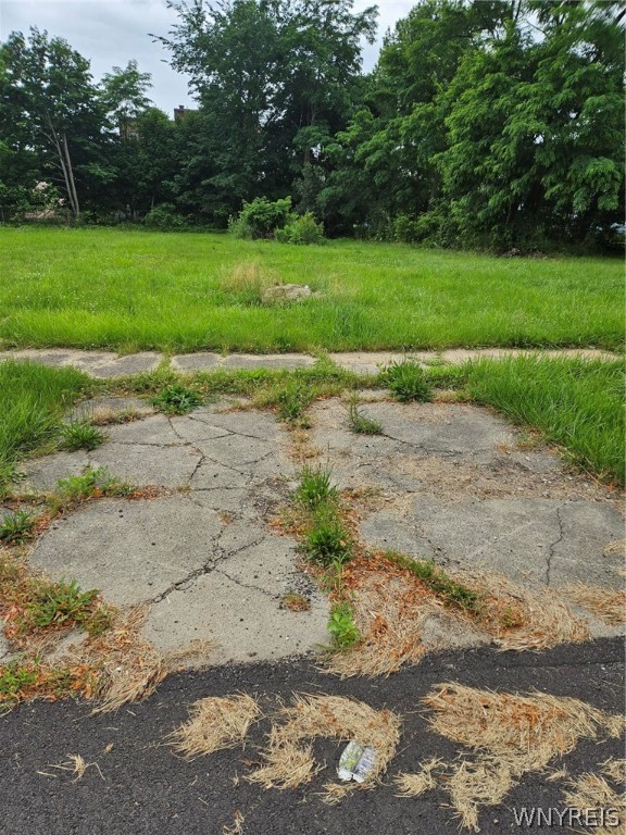 photo undefined: 422 Hickory St Street, Buffalo NY 14204