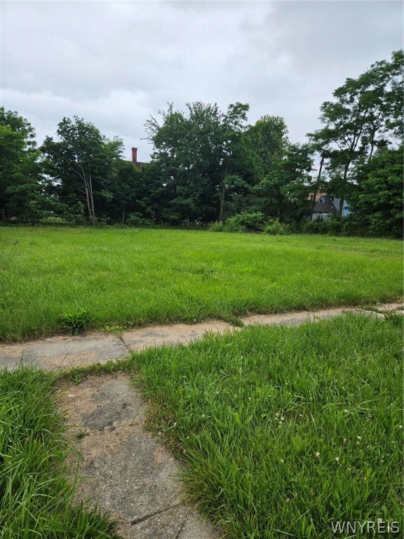 photo 2 : 422 Hickory St Street, Buffalo NY 14204