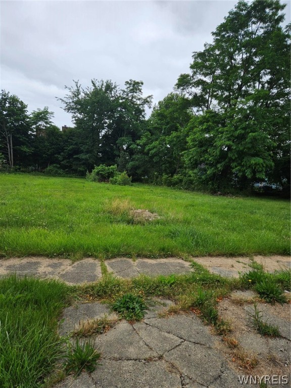 photo 3 : 422 Hickory St Street, Buffalo NY 14204
