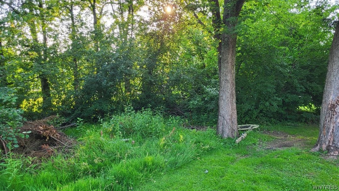photo 1 : 3209 Durham Road, Hamburg NY 14075