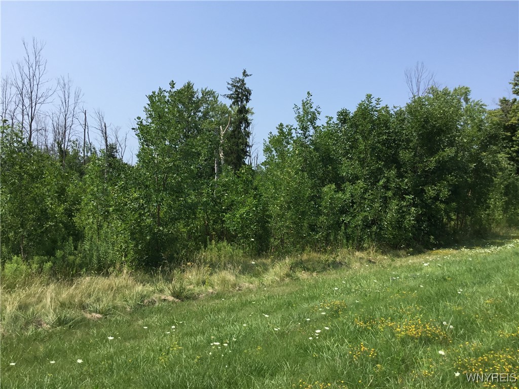 photo T5TW8WvE-l-Tlyfe1y3Q4-R78Qzh938RbzC-6Uxk: 8996 Erie Road, Evans NY 14006