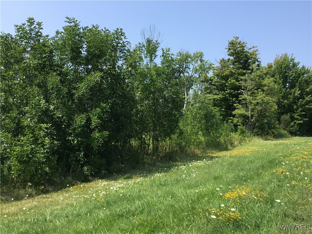 photo MpDpedV9NJPoRcAeK6: 8996 Erie Road, Evans NY 14006