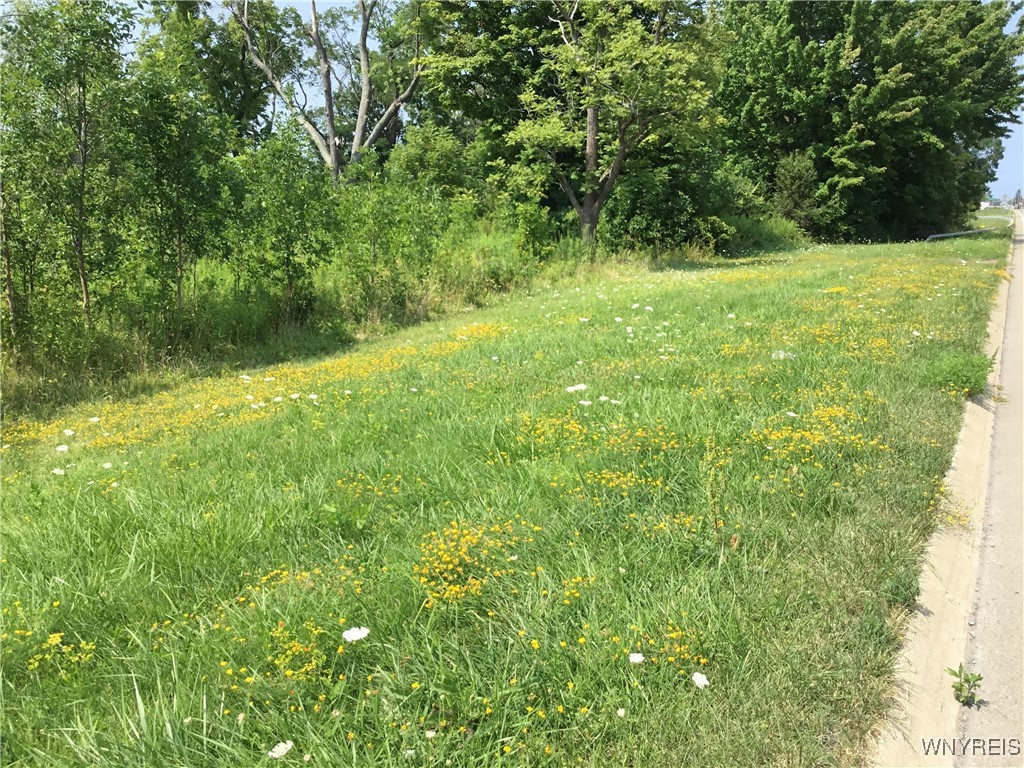 photo 2 : 8996 Erie Road, Evans NY 14006