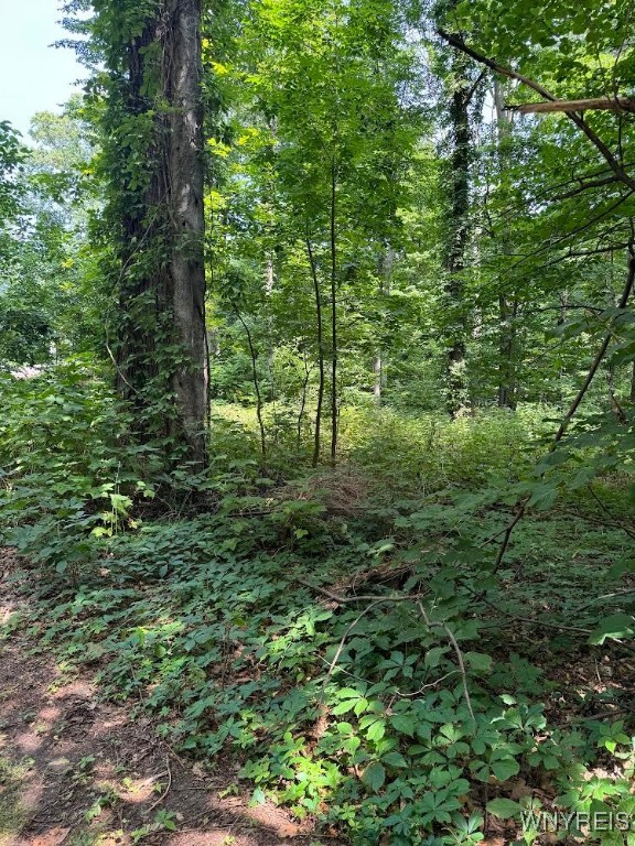 photo oVCRGrMwNgtQRpHKC4mF0BGqjVTol0: 1777 Oakwood Drive, Newfane NY 14028