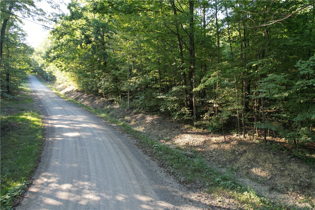 photo 0: Lot 2 Lockwood Run Road East, Baldwin NY 14902