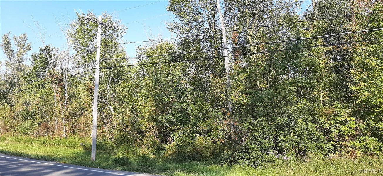 photo 2 : V/L Burch Road, Cambria NY 14131