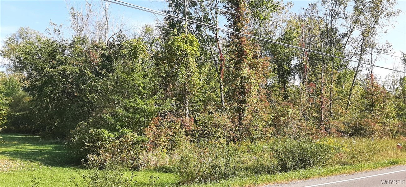 photo 3 : V/L Burch Road, Cambria NY 14131