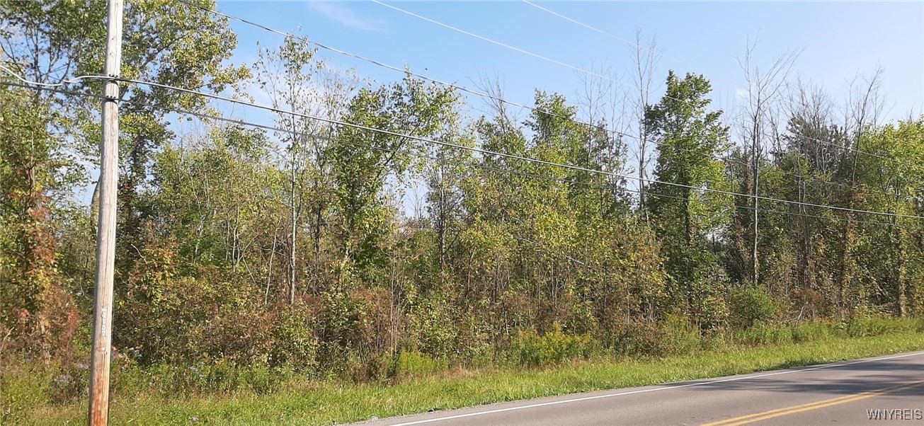 photo 4 : V/L Burch Road, Cambria NY 14131