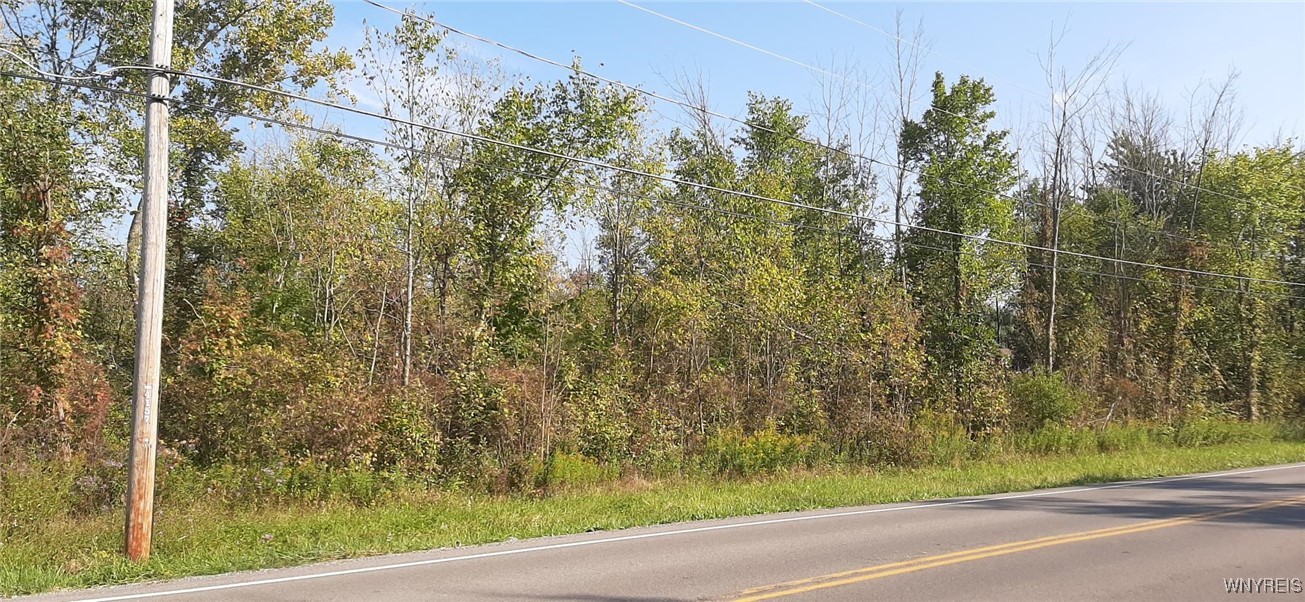 photo undefined: V/L Burch Road, Cambria NY 14131