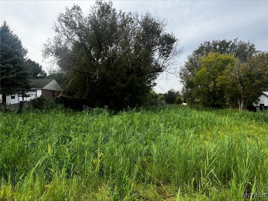 photo DDCXjfbzcn7ToVQFCQEly35rcnTONvgzvBSBo: VL Burch Road, Cambria NY 14131