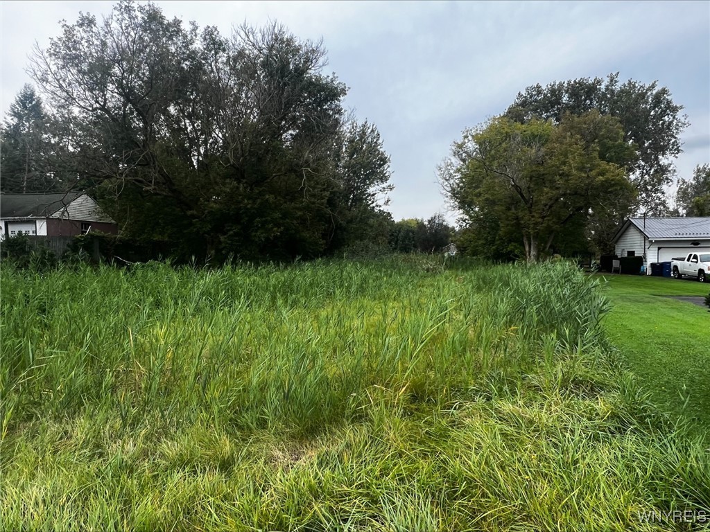photo 1 : VL Burch Road, Cambria NY 14131