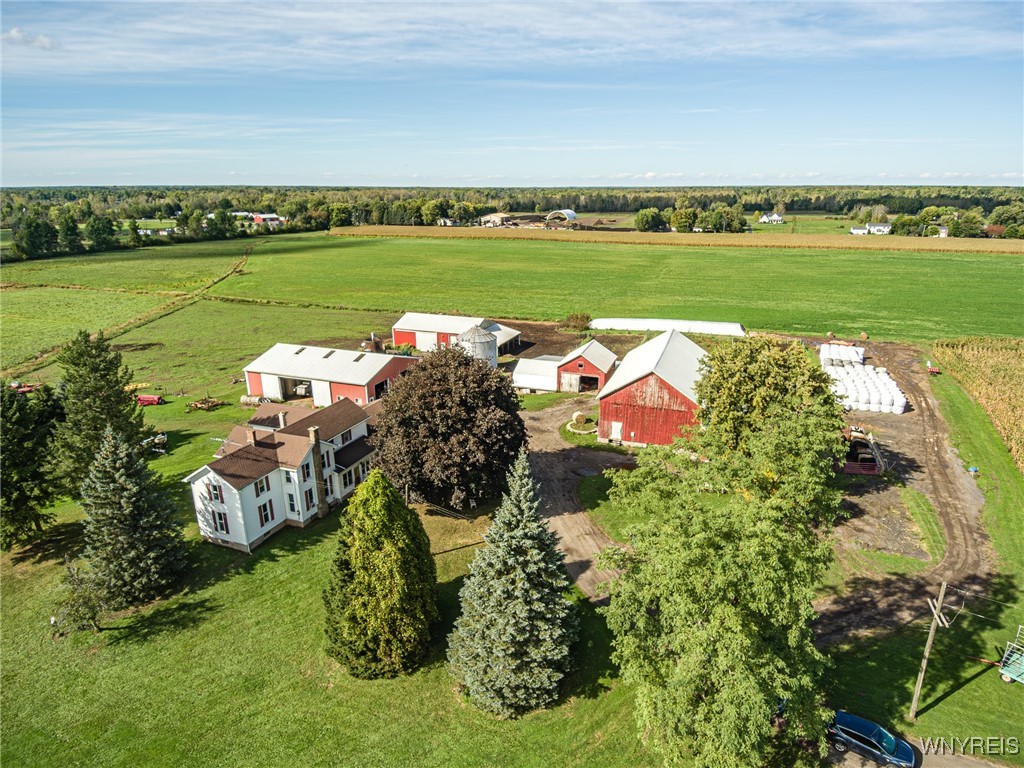 photo KN8QFcLyPdNBsnW6sJ8w1vf9ihjU4SG19bcoMmIuPA: 6990 Heise Road, Clarence NY 14032