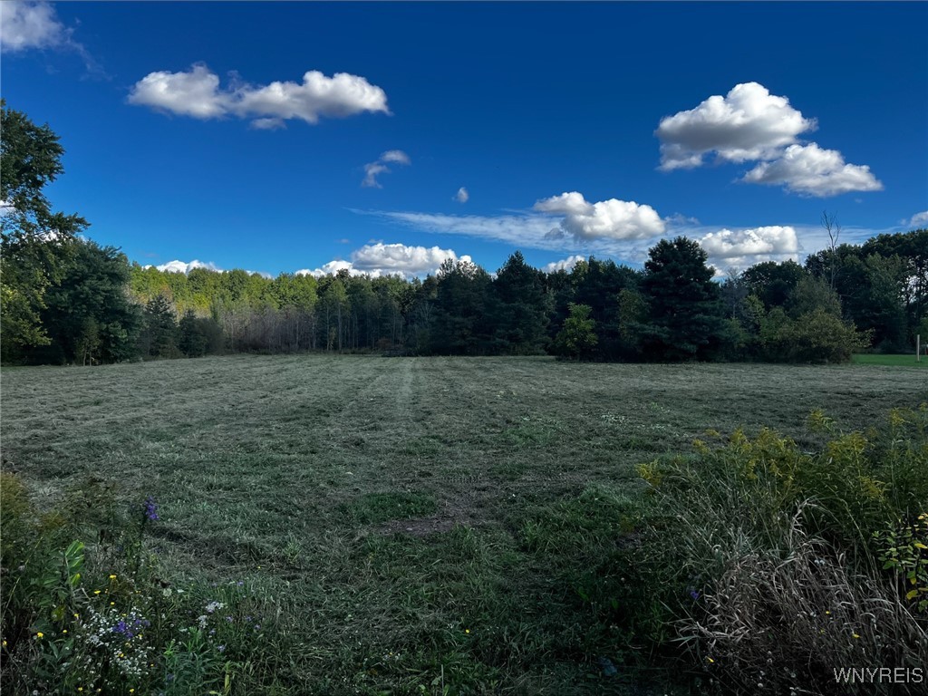 photo Y30jOCou1exVBIYi85-aM: VL Creek Road, Lewiston NY 14092