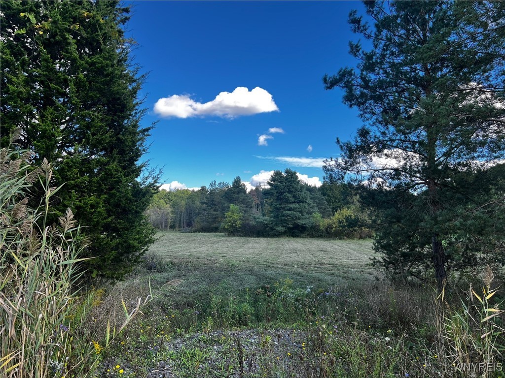 photo undefined: VL Creek Road, Lewiston NY 14092