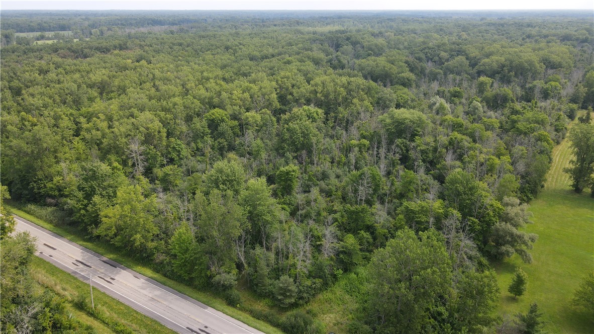 photo 0: 2853 Hartland Road, Hartland NY 14067