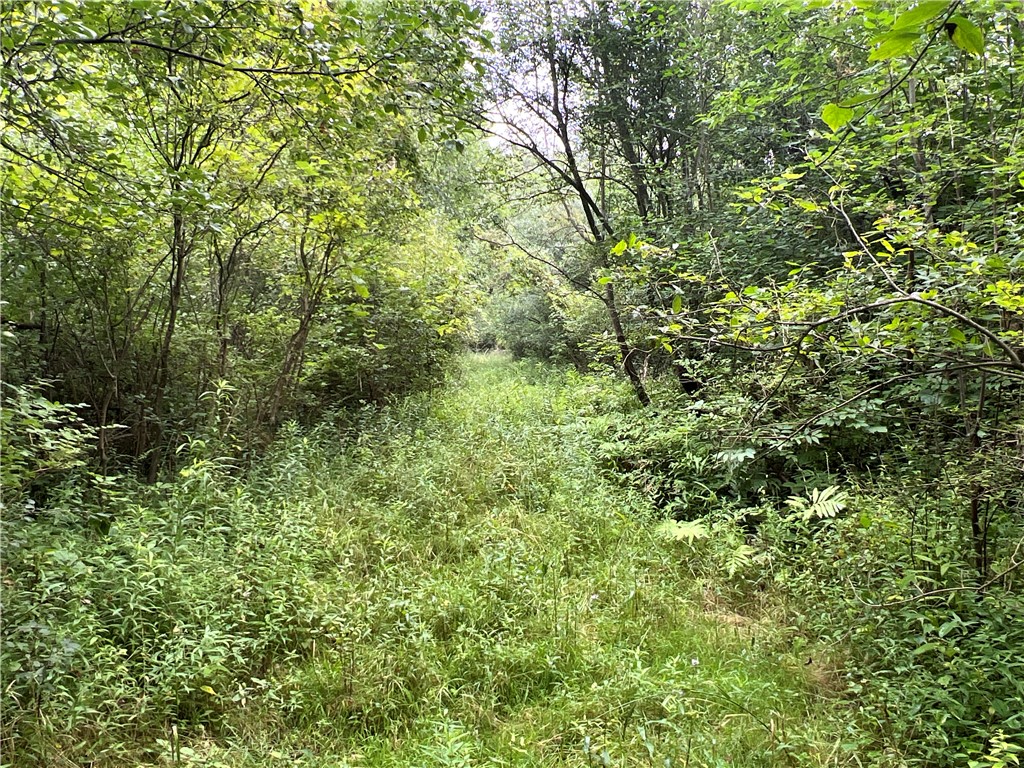 photo 3 : 2853 Hartland Road, Hartland NY 14067