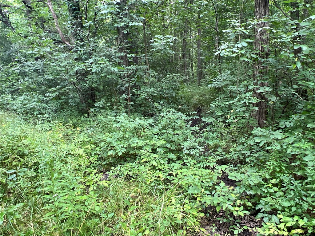 photo 4 : 2853 Hartland Road, Hartland NY 14067