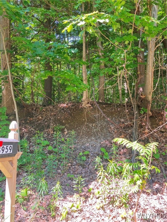 photo TNQvJVxmdwOAOyLiuWGPQren111aSE73-IIw4yck: 8978 Jennings Road, Eden NY 14057