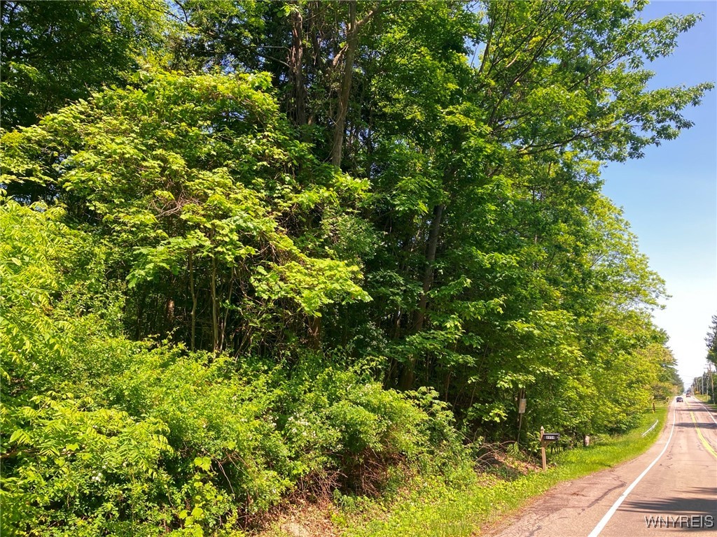 photo undefined: 8978 Jennings Road, Eden NY 14057