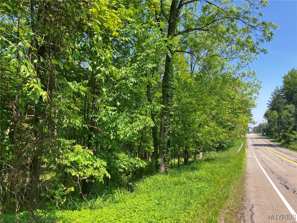photo 2 : 8978 Jennings Road, Eden NY 14057