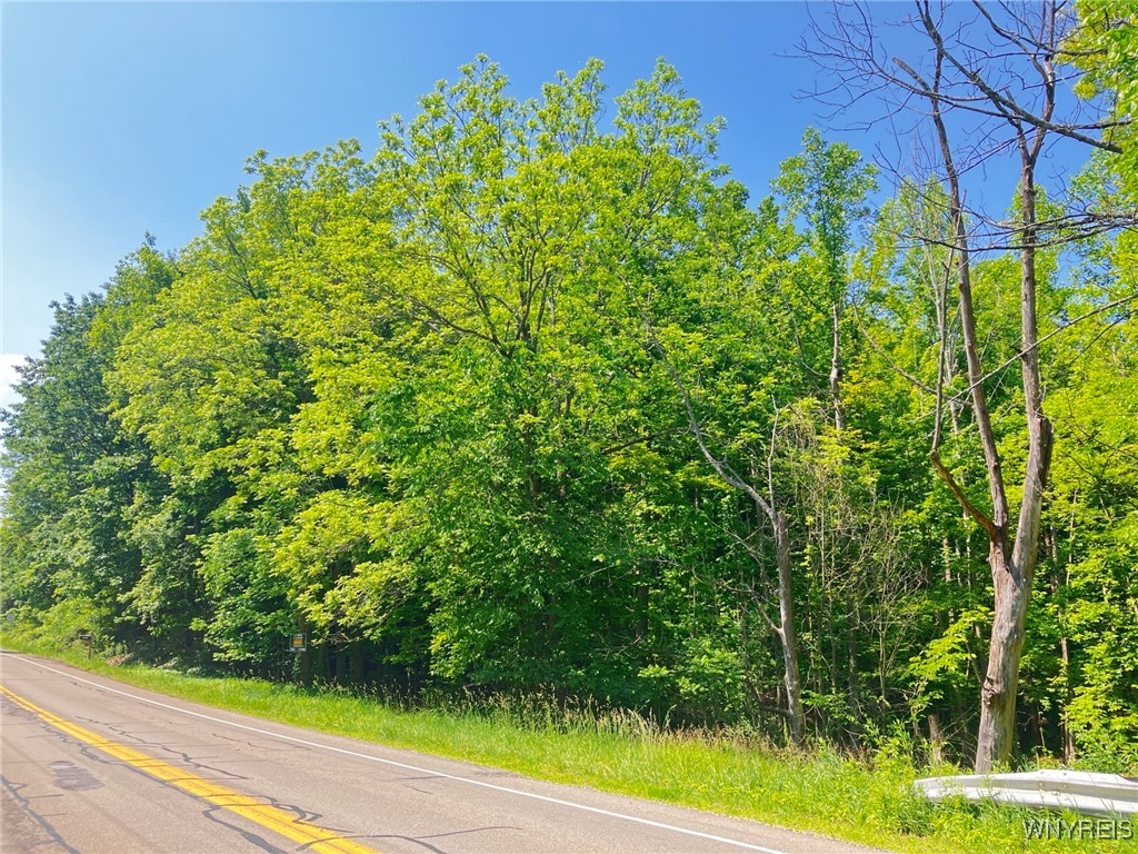 photo 3 : 8978 Jennings Road, Eden NY 14057