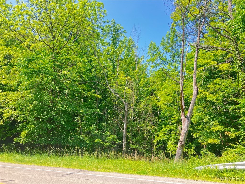 photo 4 : 8978 Jennings Road, Eden NY 14057