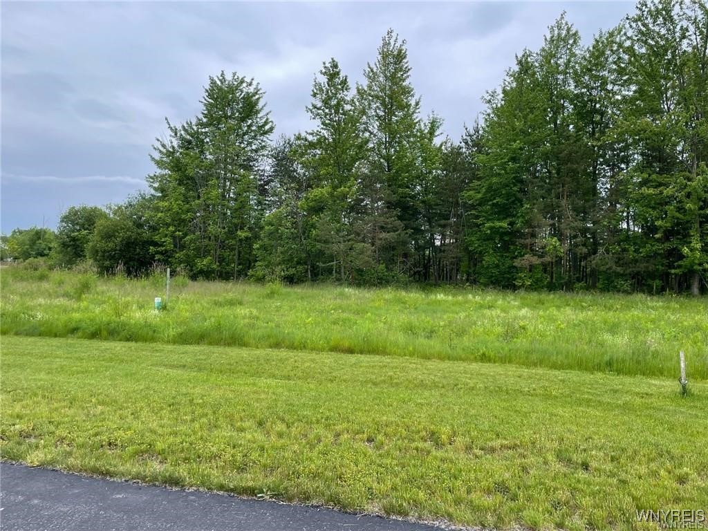 photo zGpvPVpEzc9h: 455 Pleasant View Drive, Lancaster NY 14086