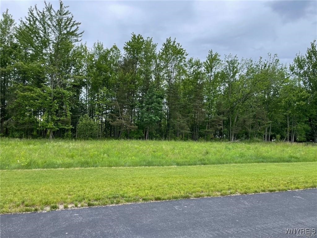 photo undefined: 453 Pleasant View Drive, Lancaster NY 14086