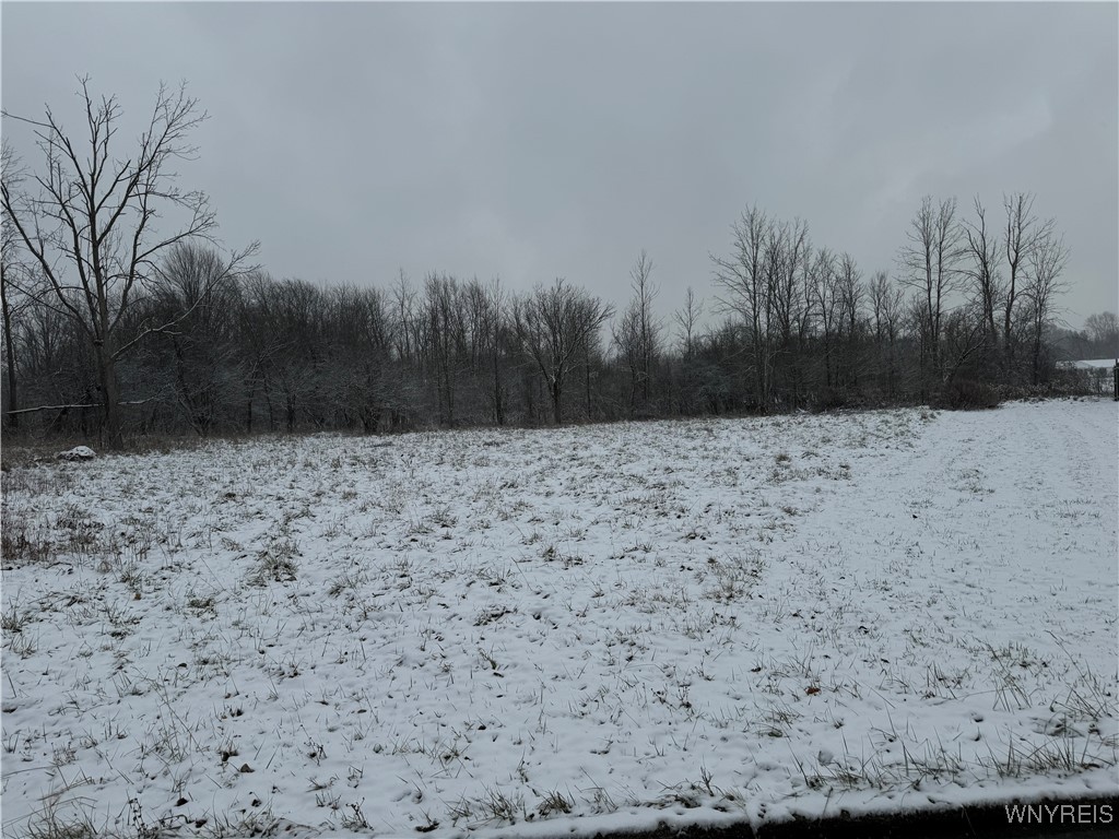 photo A: 395 Elmwood Avenue, Lockport City NY 14094
