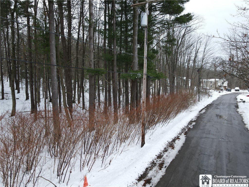photo p0ET5ac2yd: 0 Dewey Avenue, North Collins NY 14111